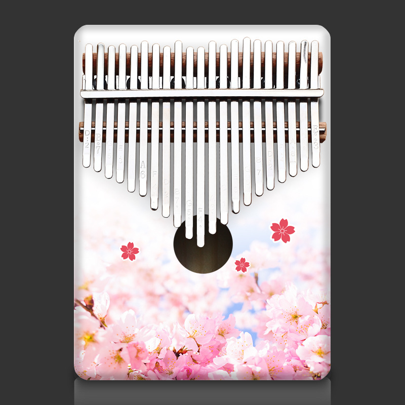 Colorful 21 Key Kalimba Kids C - Musical Instrument For Beginners recensie en prijs
