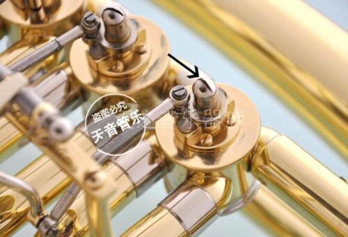 50 pcs New French Horn Euphoni - Musical Instrument Euphonium recensie en prijs
