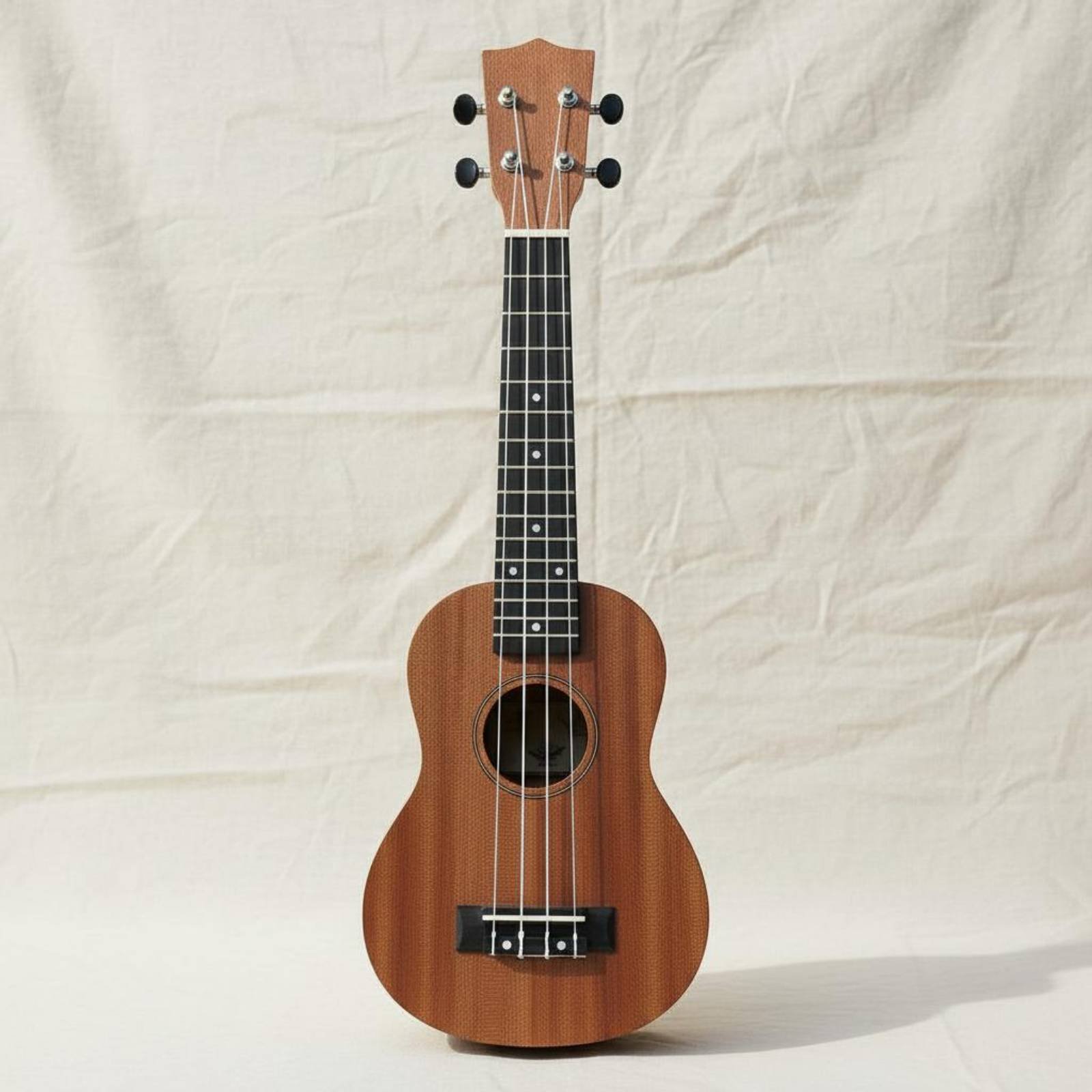21 Inch Ukulele Easy to Play B - Musical Instrument Easy To Learn recensie en prijs