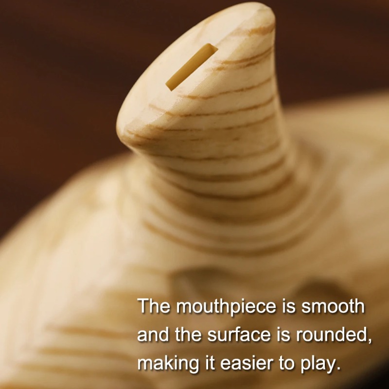 12 Hole Ocarina for Beginners  - Musical Instrument Easy To Learn recensie en prijs