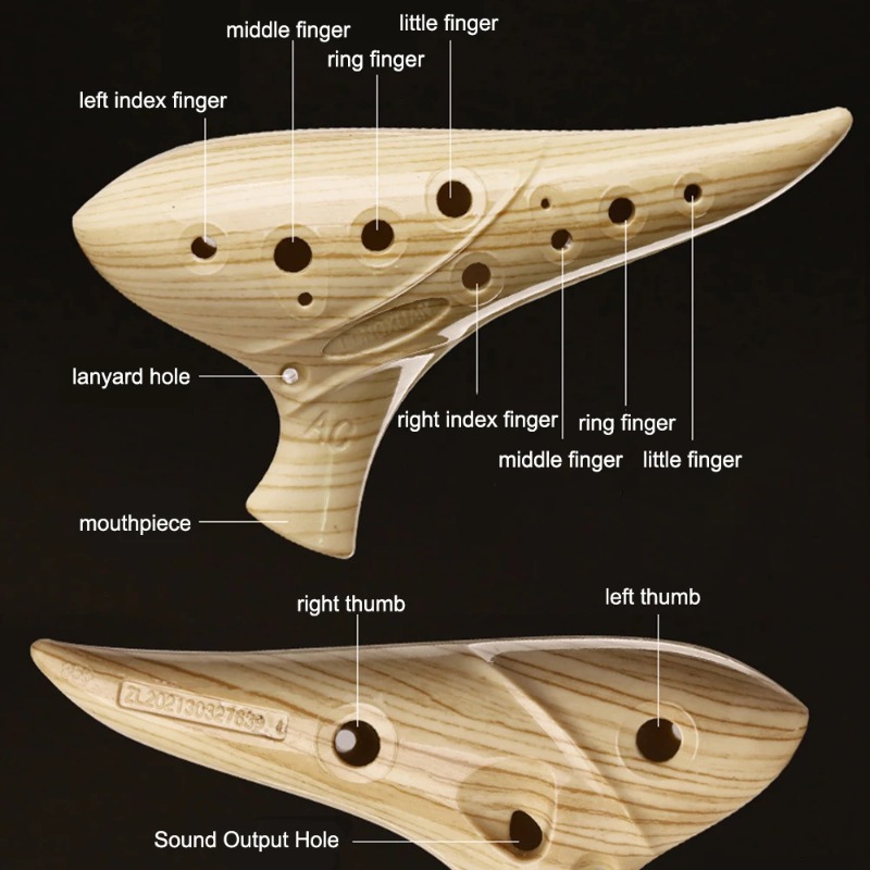 12 Hole Ocarina for Beginners  - Musical Instrument Easy To Learn recensie en prijs