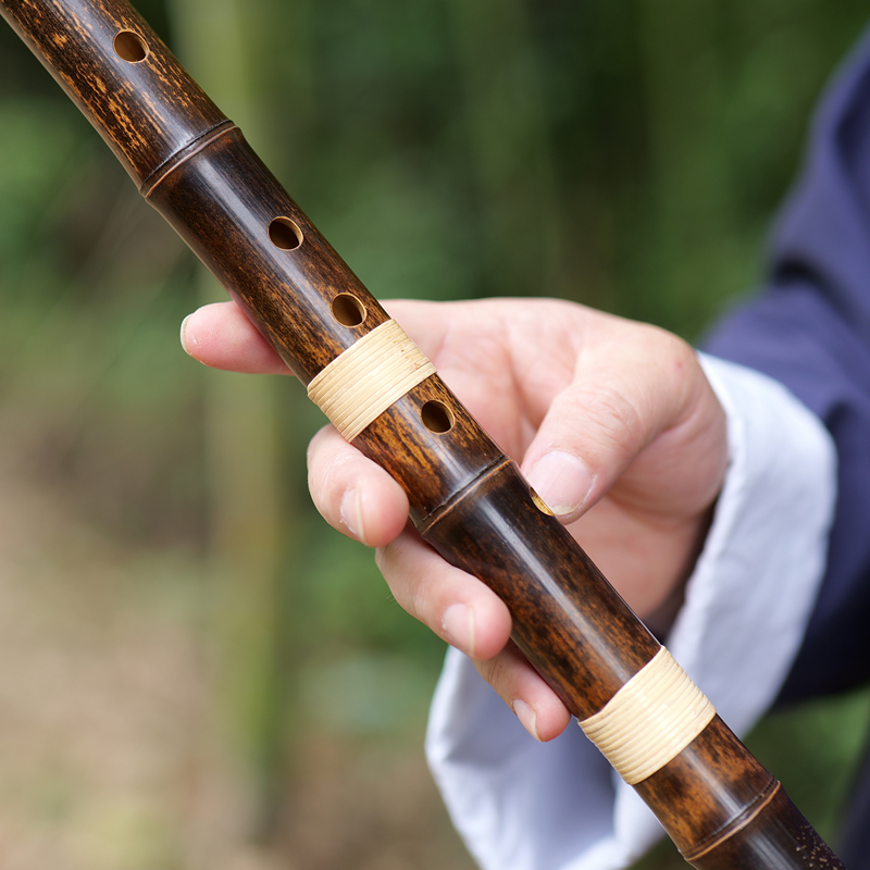 YPXD DongXiao Flute Purple Bam - Musical Instrument In Chinese recensie en prijs