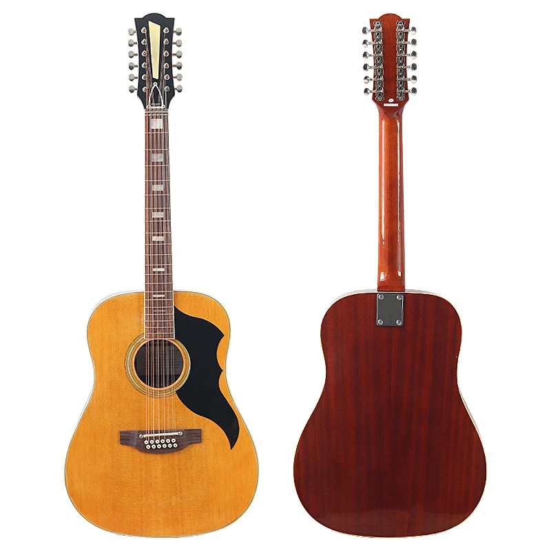 Acoustic Guitar 12 String Natu - Dobro Resonator Guitar recensie en prijs