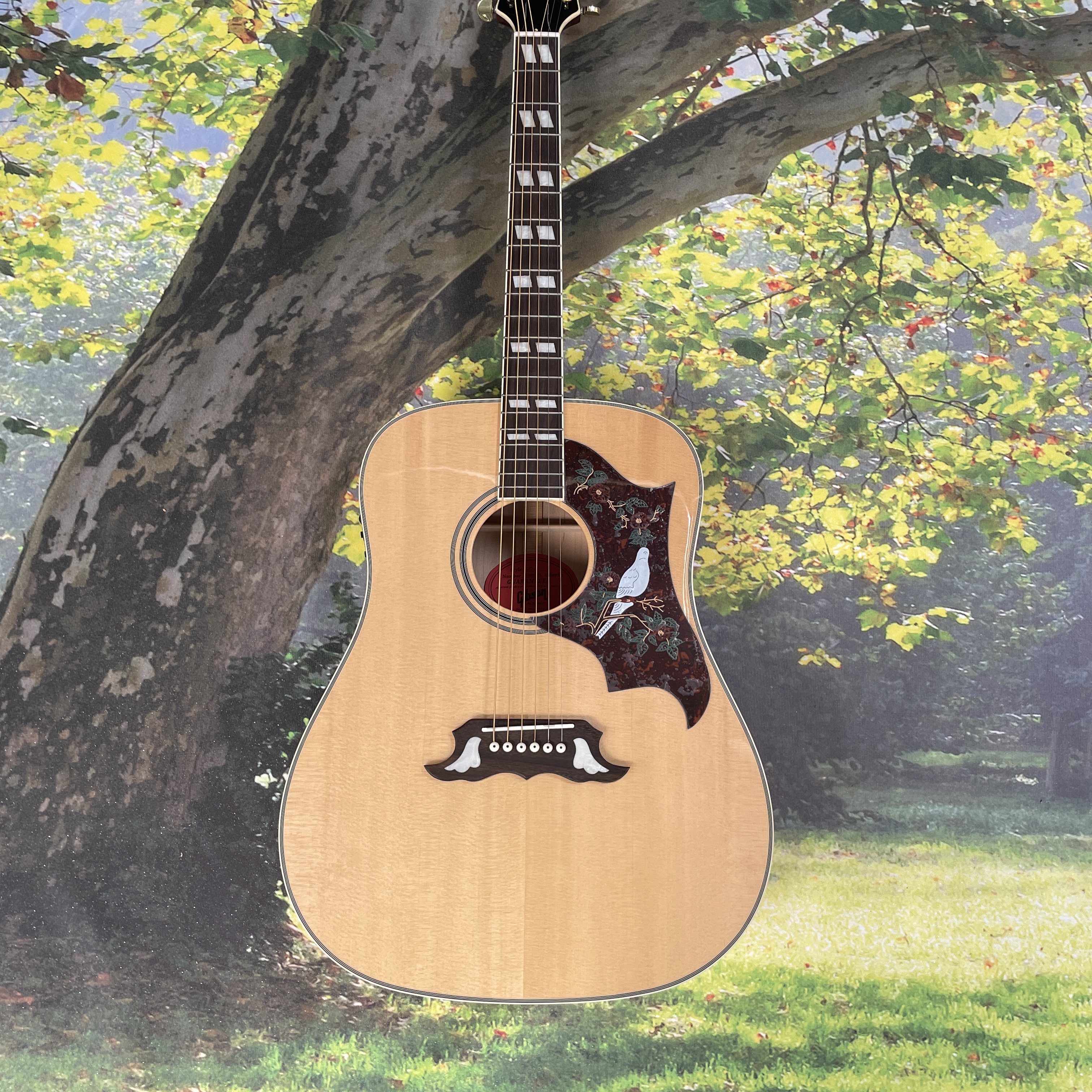 Hummingbird Dove Original Folk - Musical Instrument For Beginners recensie en prijs