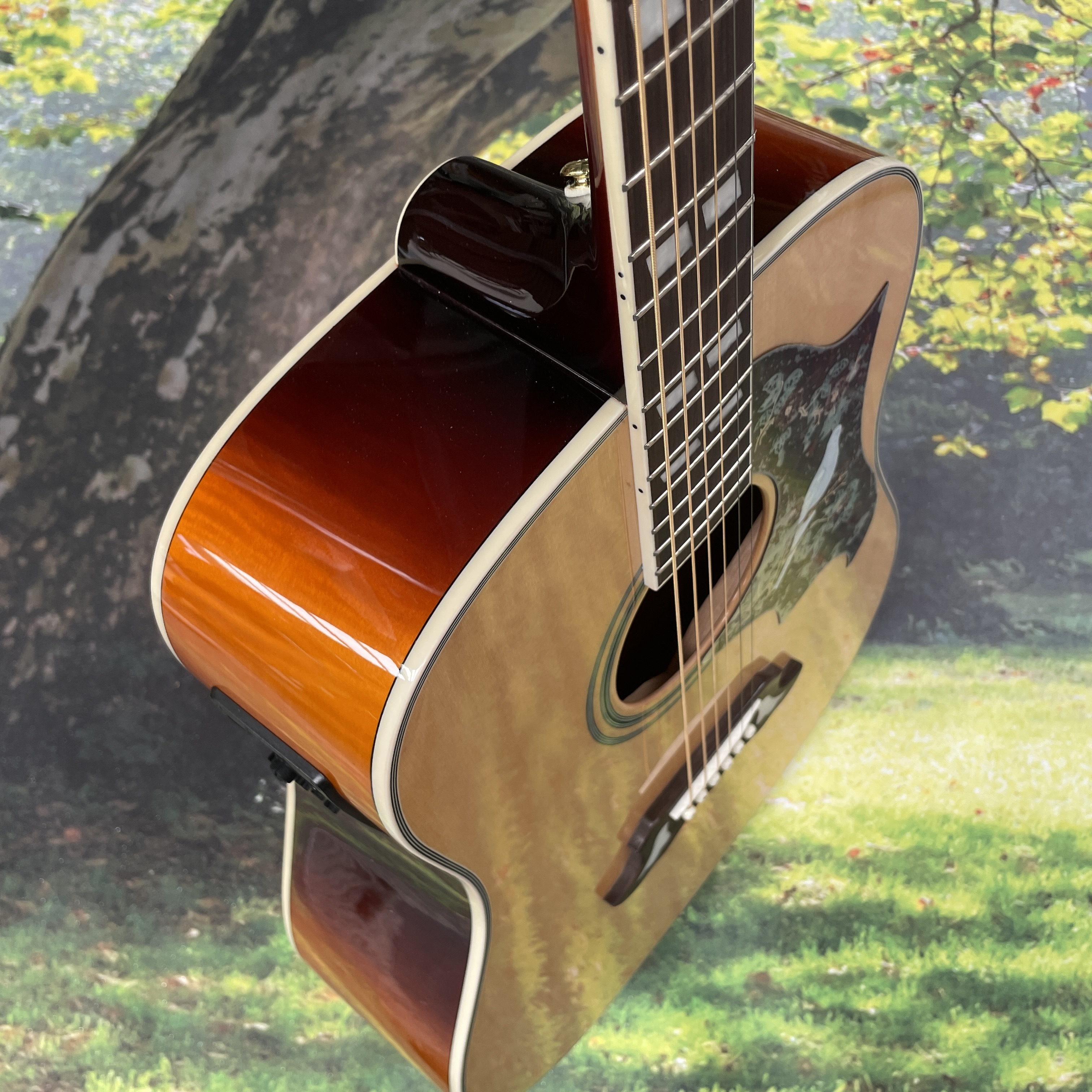 Hummingbird Dove Original Folk - Musical Instrument For Beginners recensie en prijs