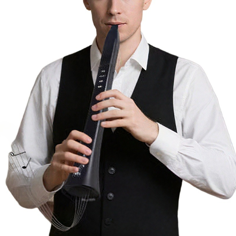 Portable Electronic Wind Instr - Musical Instrument For Beginners recensie en prijs