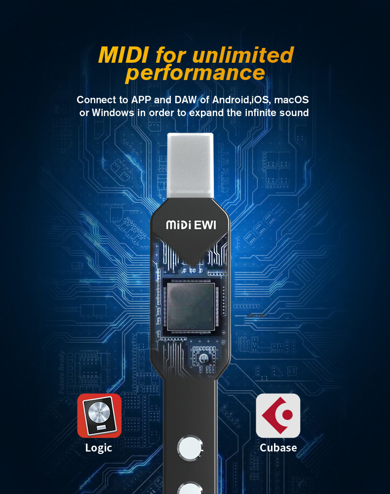 upgrade Mini Digital Electroni - Musical Instrument Euphonium recensie en prijs
