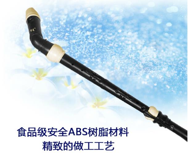 Professional 8 Holes Baroque B - Musical Instrument In Chinese recensie en prijs
