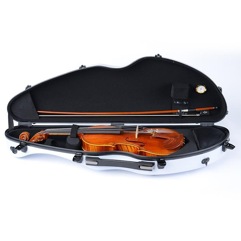 4/4 Carbon Fiber Violin Box Li - Musical Instrument Box recensie en prijs