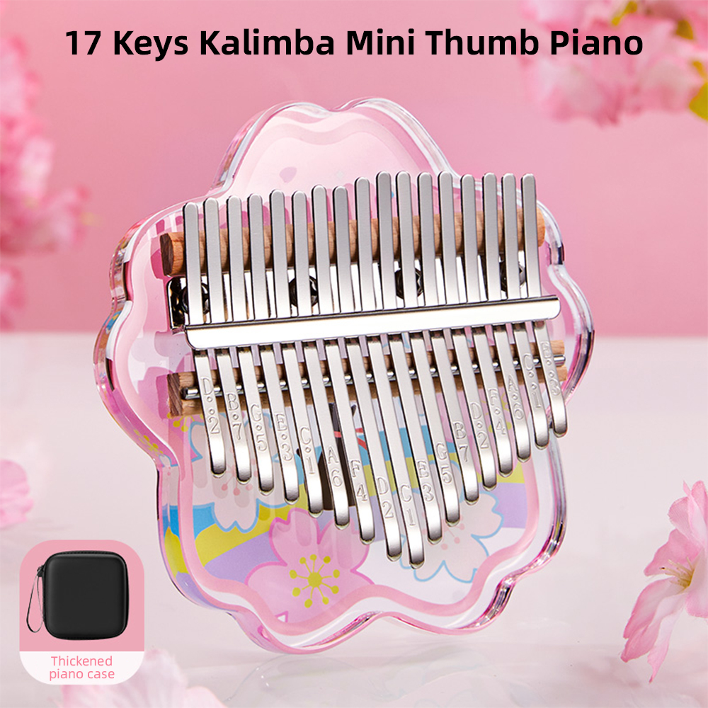 Mini Thumb Piano 17 Keys Porta - Musical Instrument Box recensie en prijs