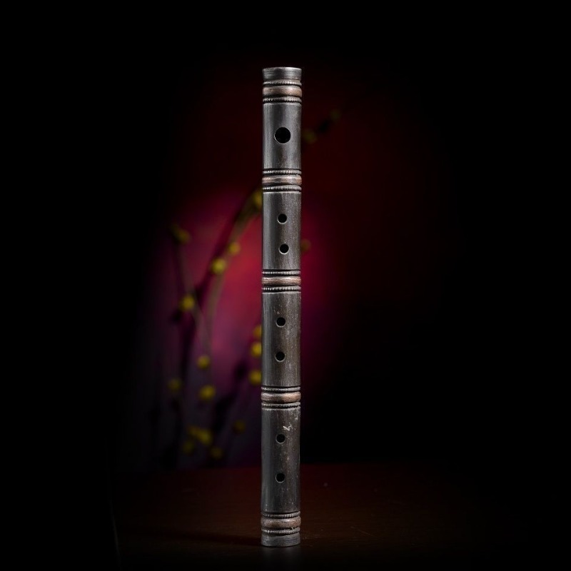 Handmade Transverse Flute Begi - Musical Instrument Groups recensie en prijs