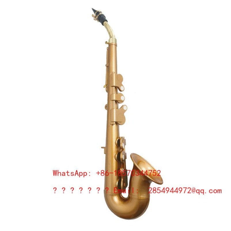 Resin Saxophone Musical Instru - Musical Instrument Easy To Learn recensie en prijs