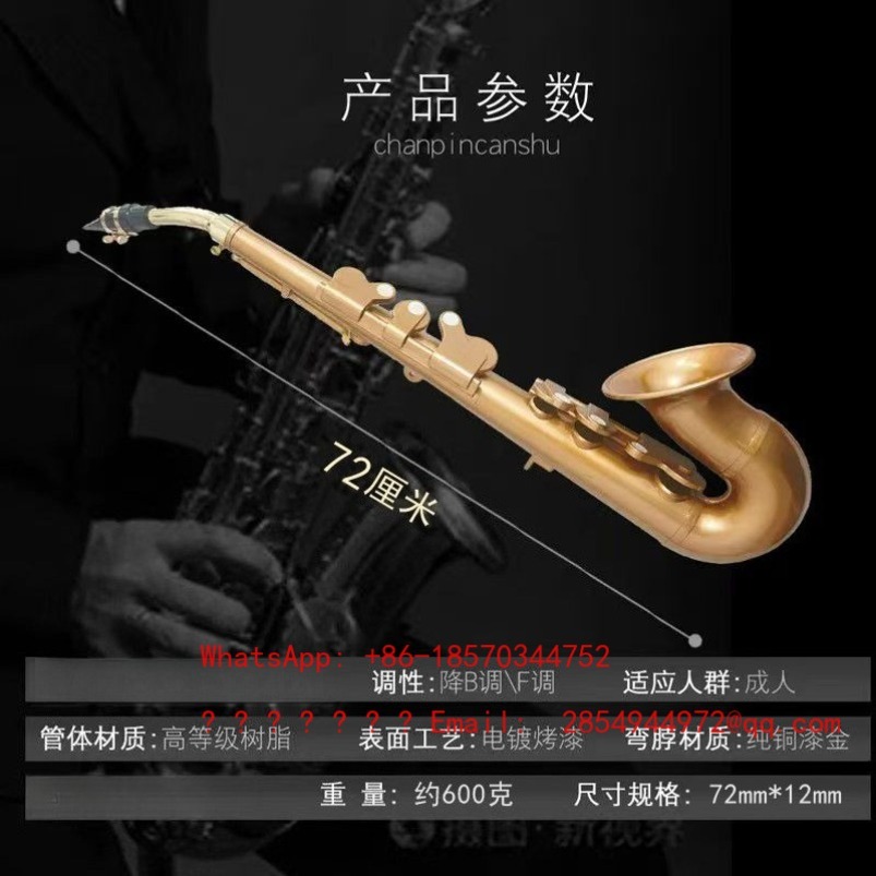Resin Saxophone Musical Instru - Musical Instrument Easy To Learn recensie en prijs