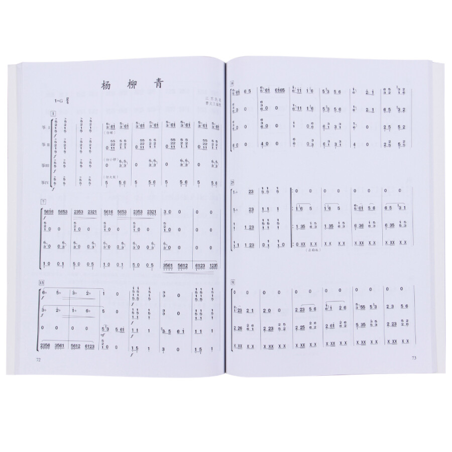 Chinese Guzheng Ensemble Music - Musical Instrument Groups recensie en prijs