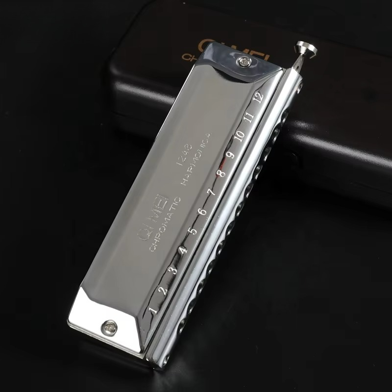 Stainless Steel 12 Hole 48 Not - Musical Instrument Note recensie en prijs