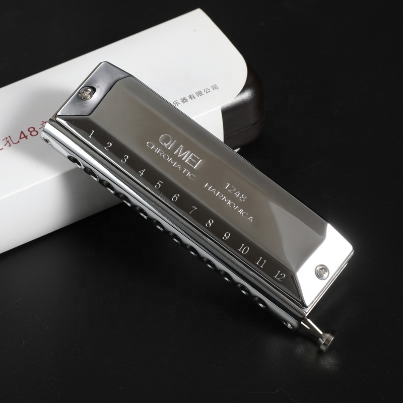 Stainless Steel 12 Hole 48 Not - Musical Instrument Note recensie en prijs