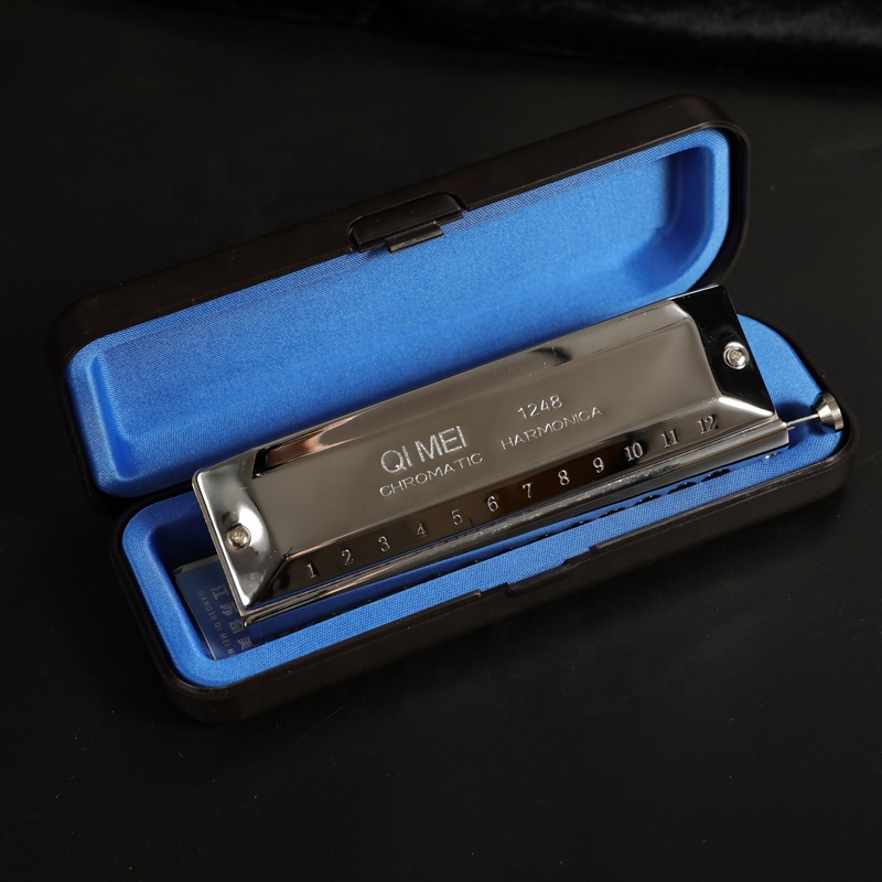 Stainless Steel 12 Hole 48 Not - Musical Instrument Note recensie en prijs