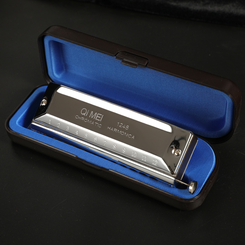 Stainless Steel 12 Hole 48 Not - Musical Instrument Note recensie en prijs