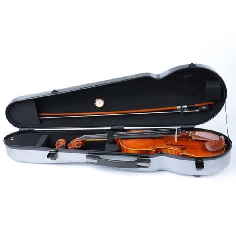 4/4 Carbon Fiber Violin Case P - Musical Instrument Box recensie en prijs