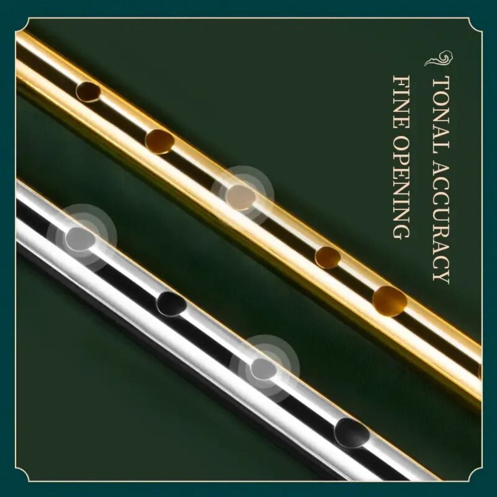 6 Holes C/D Key Irish Whistle  - Musical Instrument Easy To Learn recensie en prijs